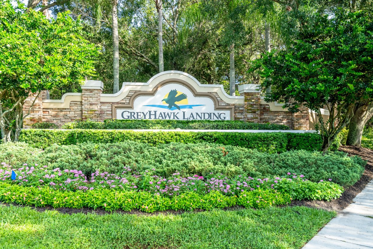 Greyhawk Landing