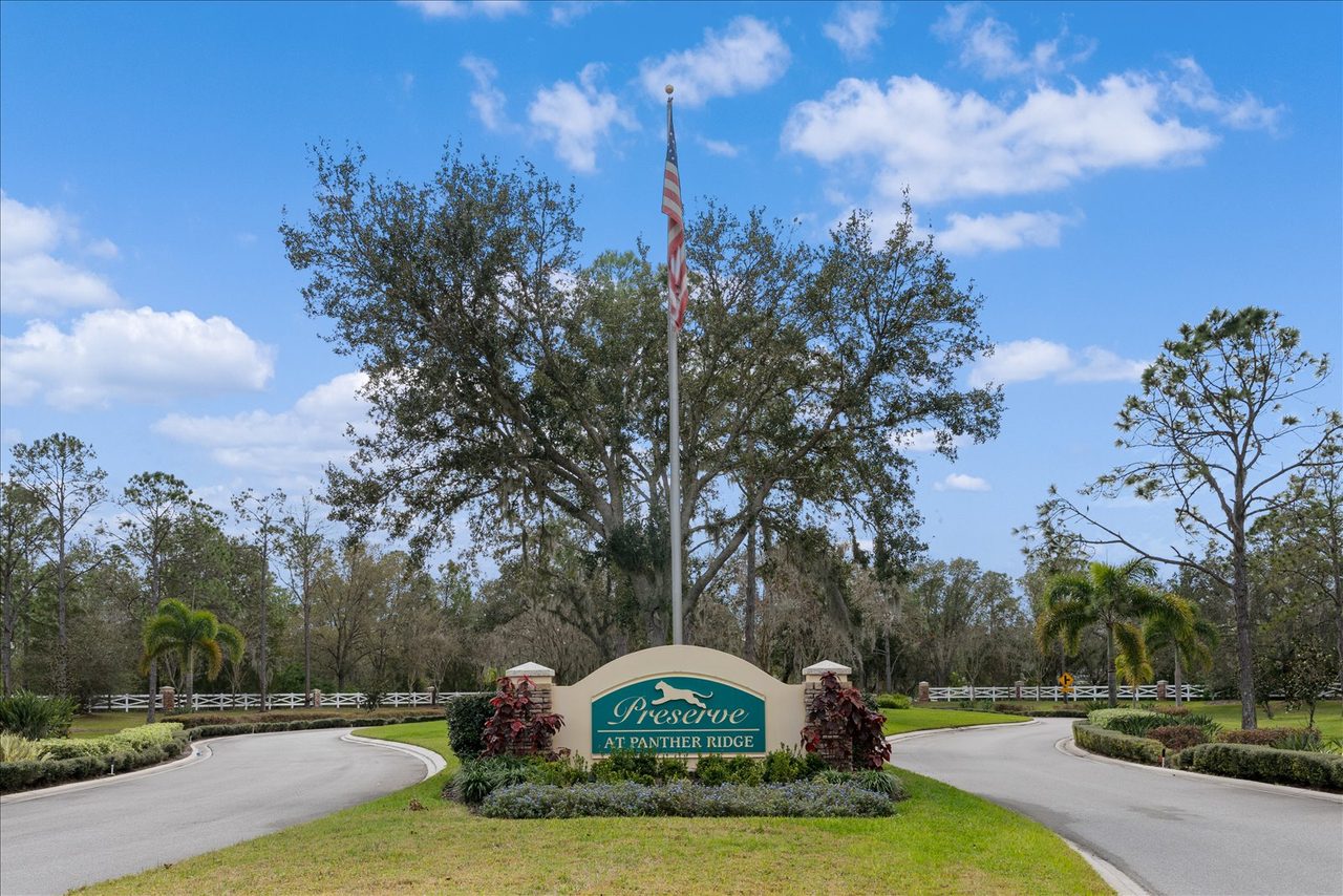 Panther Ridge